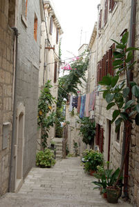 ruelle2