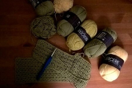 Plaid pour chat début octobre 2017