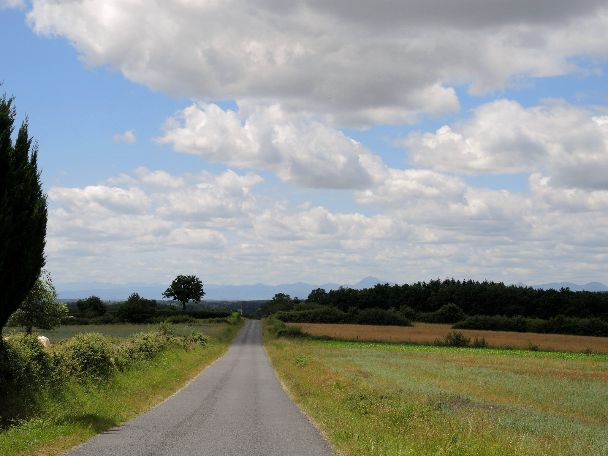 Ris, route et Puy de Dôme (63)