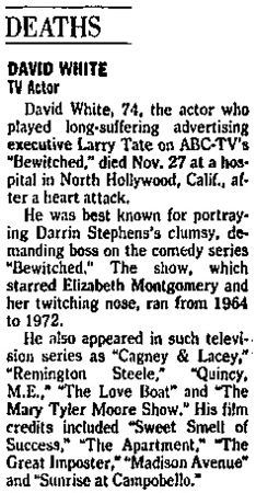 DavidWhiteWashPostDec3rd1990