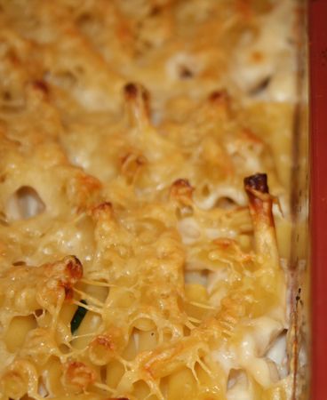 Gratin_de_Macaronis