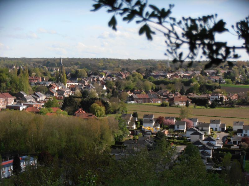 70 - Terril du 6 - Hornu-Wasmes - panorama
