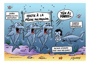sharko Greve