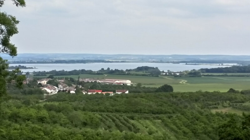 DSC_6105