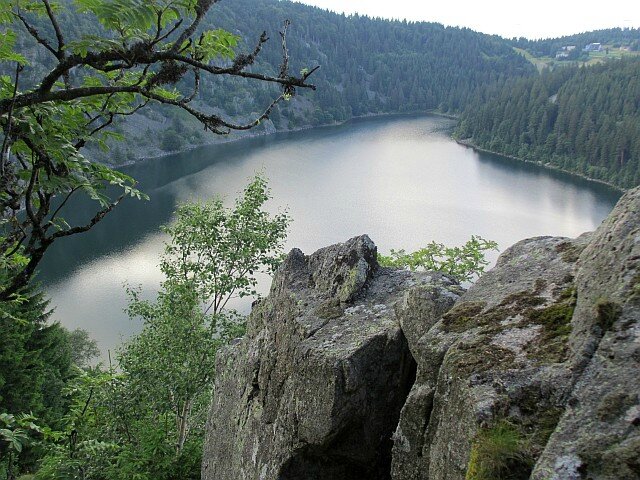 blog ger20