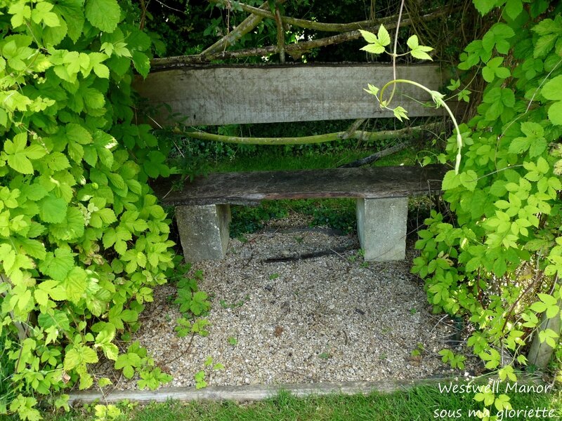banc153