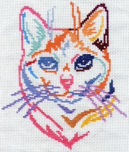 CHAT (1) - Copie