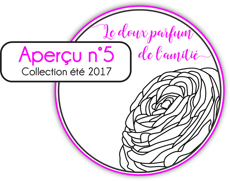 AperçuE17_05