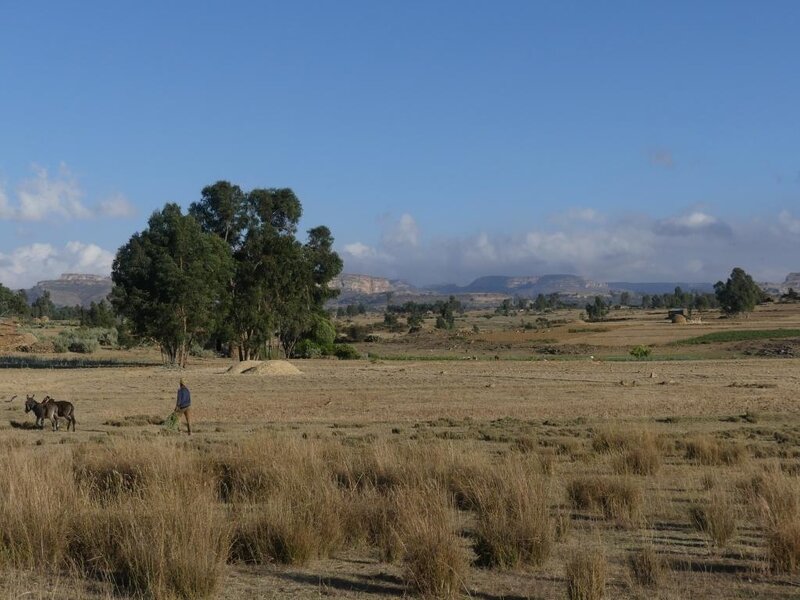 P1040470