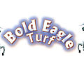 Bold Eagle Turf