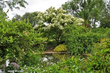 Jardin-François-0061