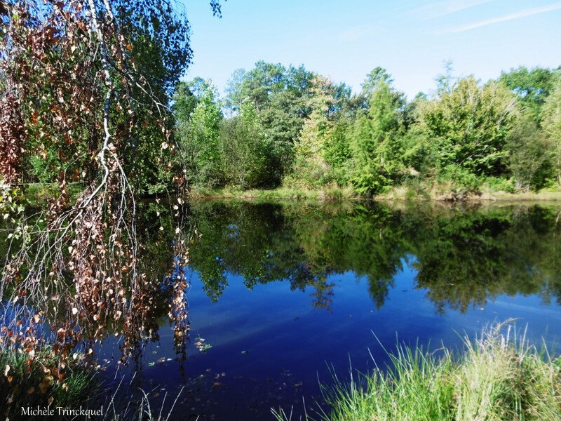 Etang de Moré, Ciel et ombres 150918