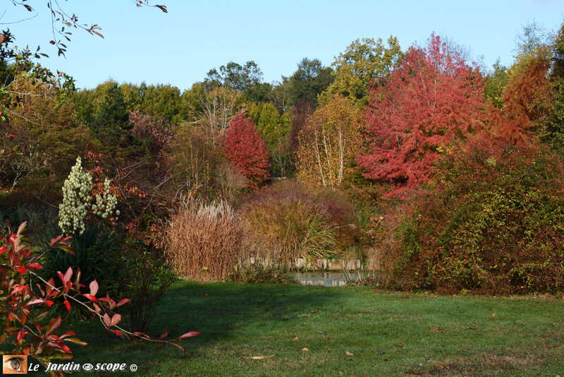 PAT_8963-Berville