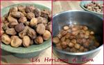 abricots_r_hydrat_s