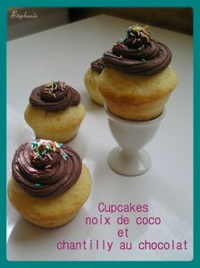 Cupcakes noix de coco chantilly chocolat2