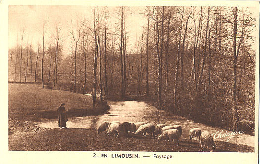 bergere avec ses moutons