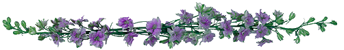 orchidbar