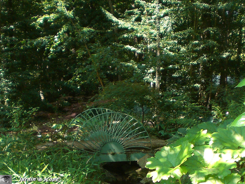 Scène de sous-bois