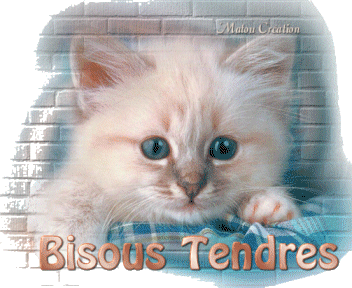 bisous tendres