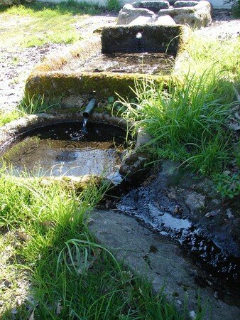 Fontaine_Saint_Patrocle___Colombier_8a