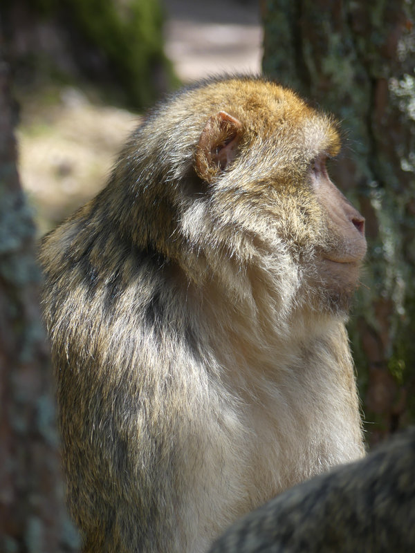 P1220660