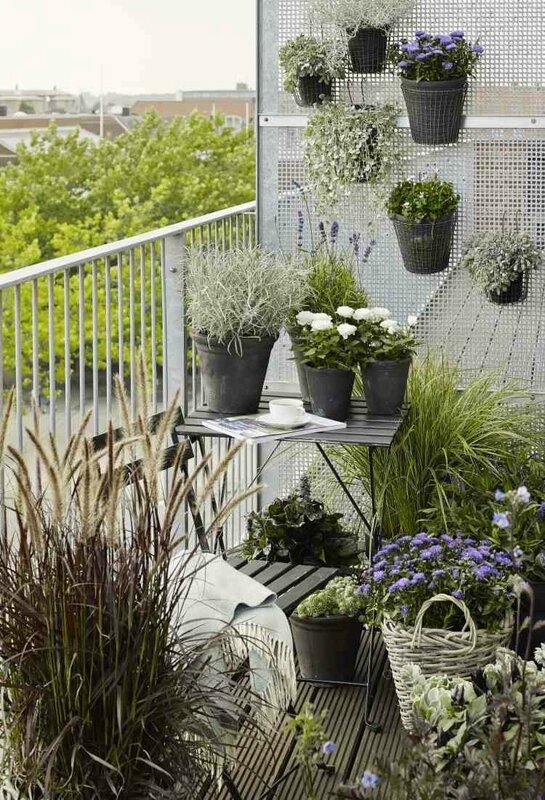 deco-balcon-plantes-jardin-vertical-fleurs-herbes