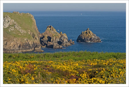 Sizun_paysage_falaise_fleurs_mer_matin_1_310509