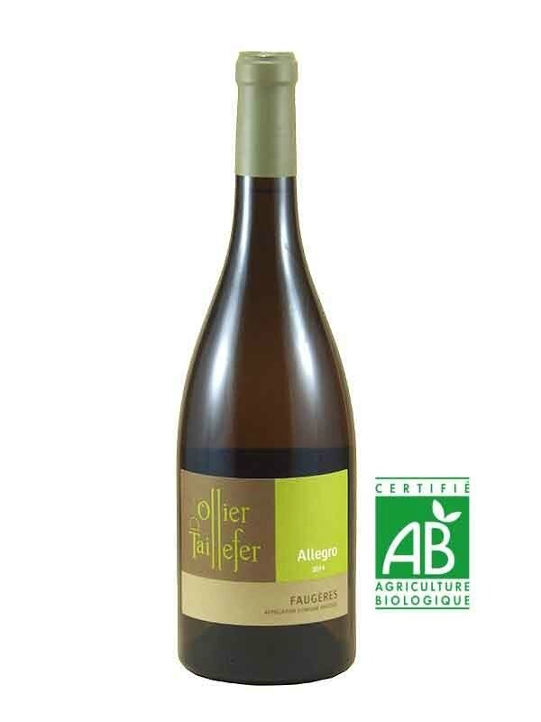 domaine-ollier-taillefer-allegro-faugeres-blanc