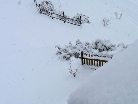Neige