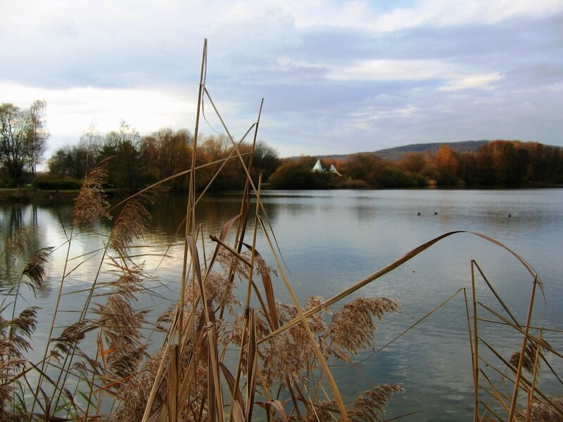 IMG_30735R