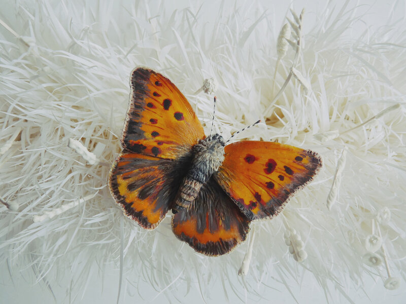 P1160433