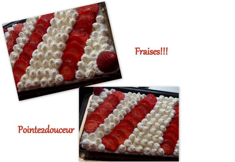 fraisier 2