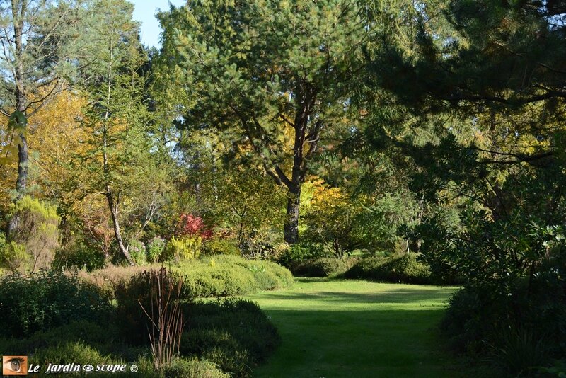 Arboretum des Grandes Bruyères