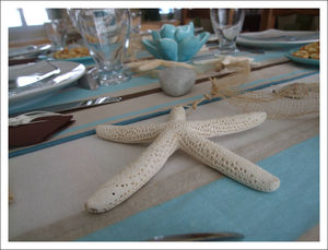 table_choco_turquoise_4