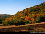 automne_au_quebec1024