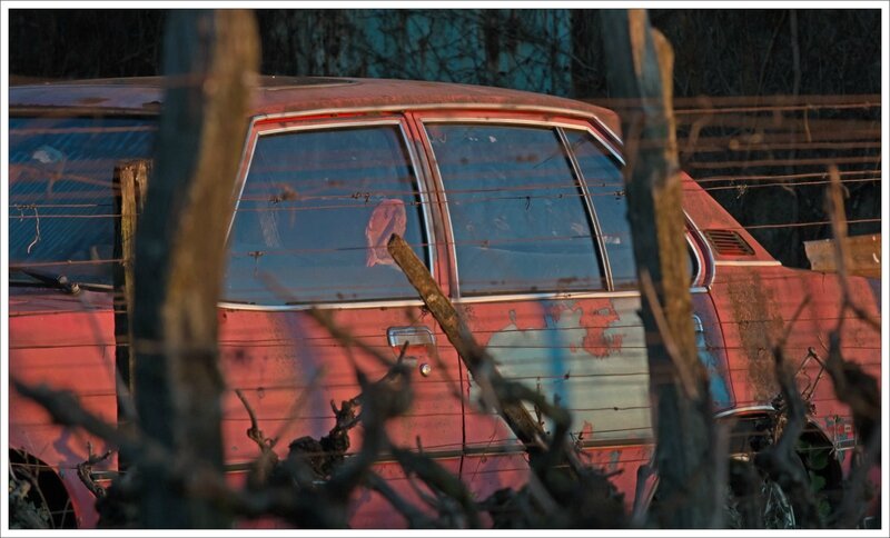 vigne voiture rose matin 060415