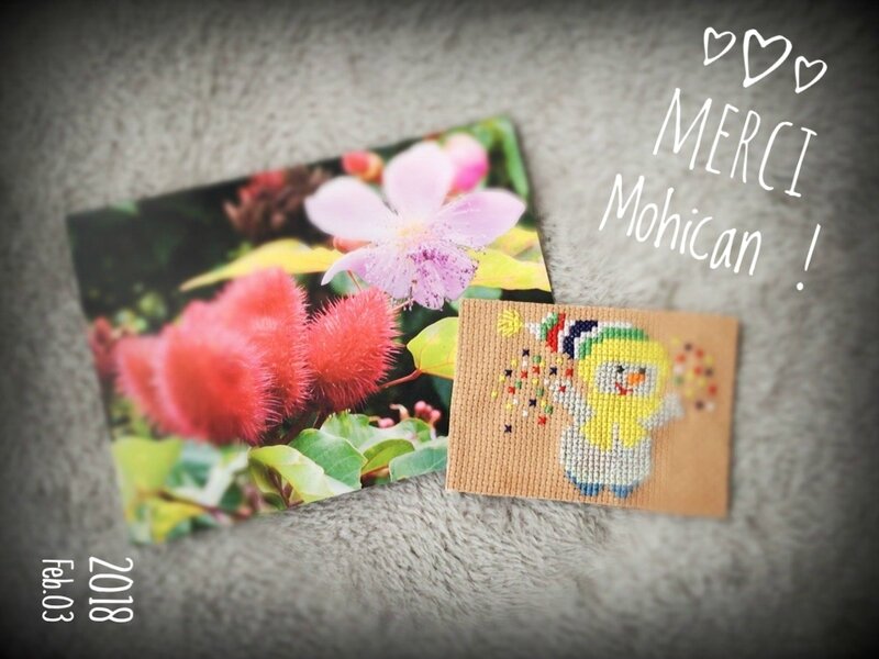 mohican pour Hélène