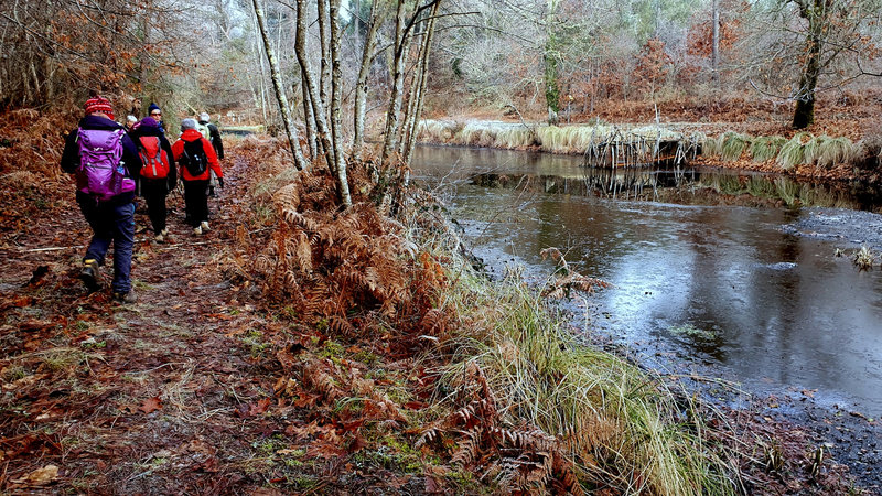 20220116_112738_coul-fc_-001