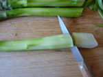 salade_printani_re__1_
