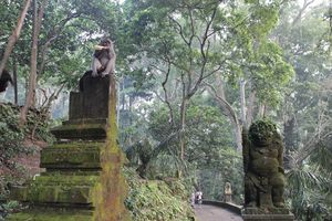 Ubud - Monkey forest (1)
