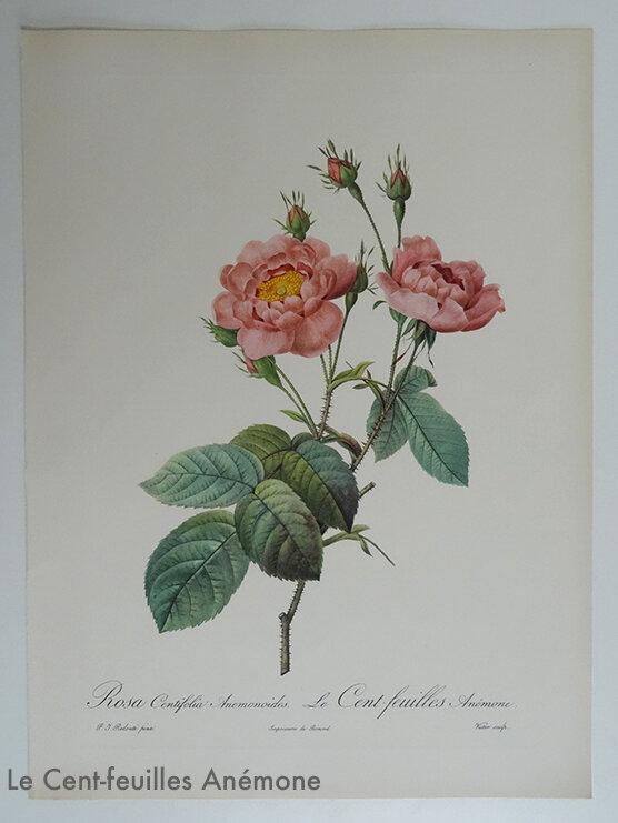 2 LE CENT FEUILLES muluBrok