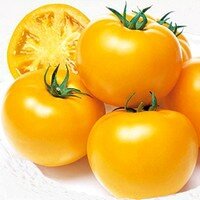 tomates lemon boy in où trouver des légumes bio dans le var