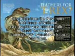0trex-300x225