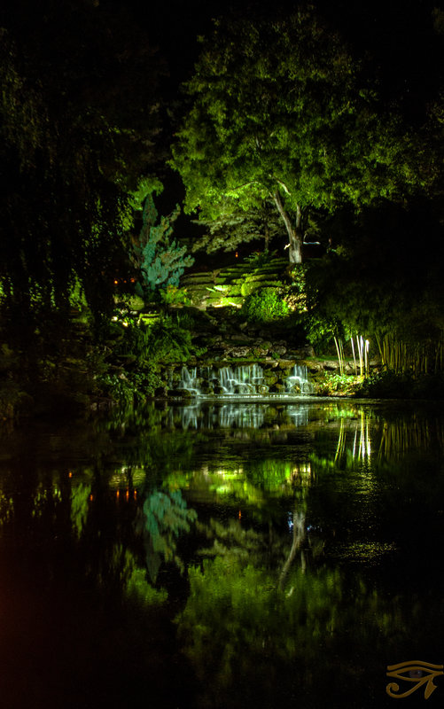 Paisible dans l'obscurité