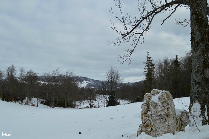 180204_limouches_4