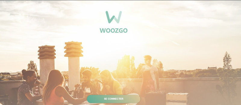 La page d’accueil de Woozgo