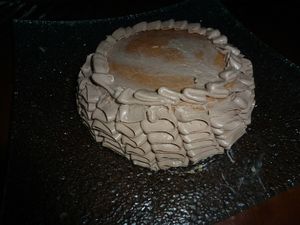 Gâteaux froufrou (7)