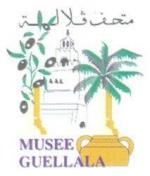 MuséeGuellala