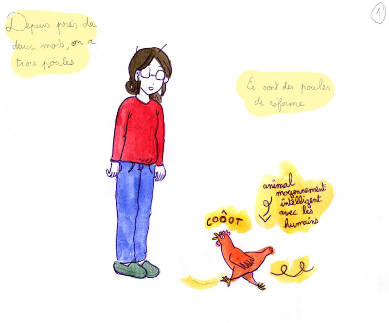 poules-1-1