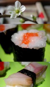 sushi_printemps_copie